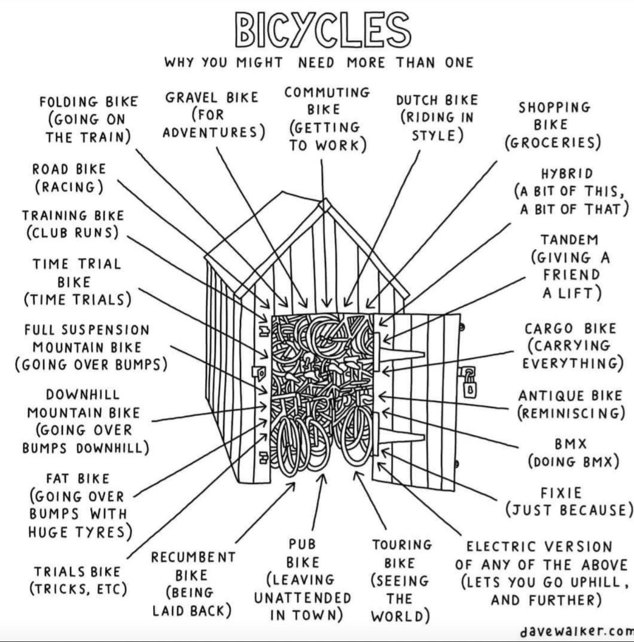 ENVO D50 : Why It's the Only Bike You'll Ever Need!