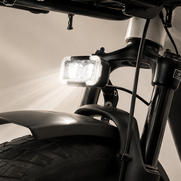 Integrated Headlight & Tail Light