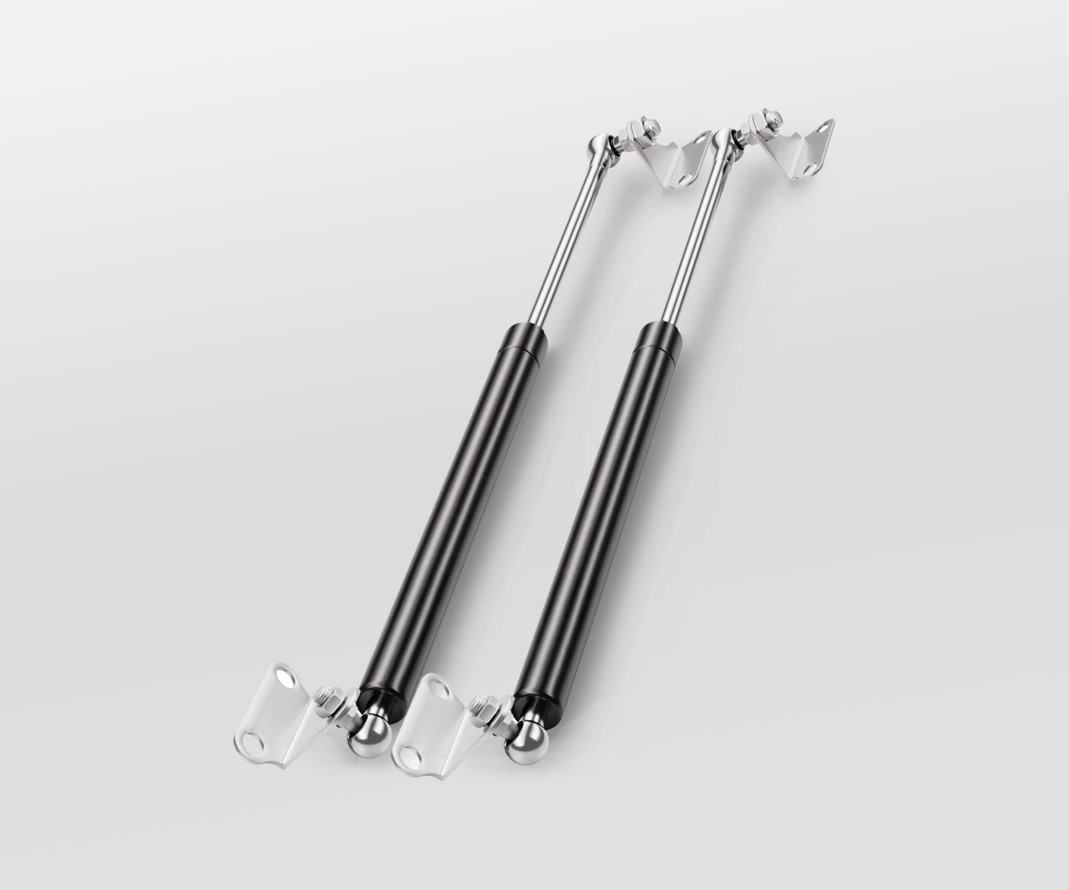 Hydraulic Hatch Pistons (Stainless Steel Pair)