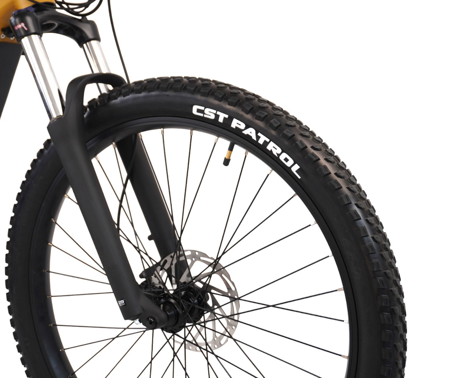 ENVO D50 - Electric Hardtail Mountain Bike