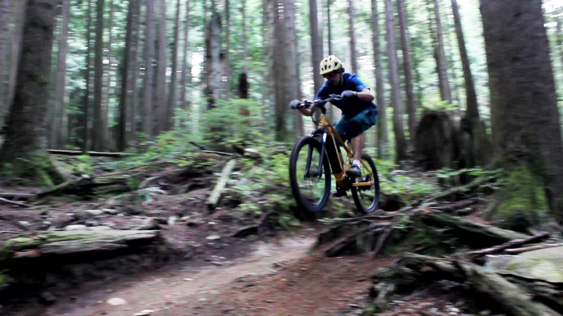 ENVO D50: Your Ultimate Guide to the Best Affordable Hardtail Mountain eBike