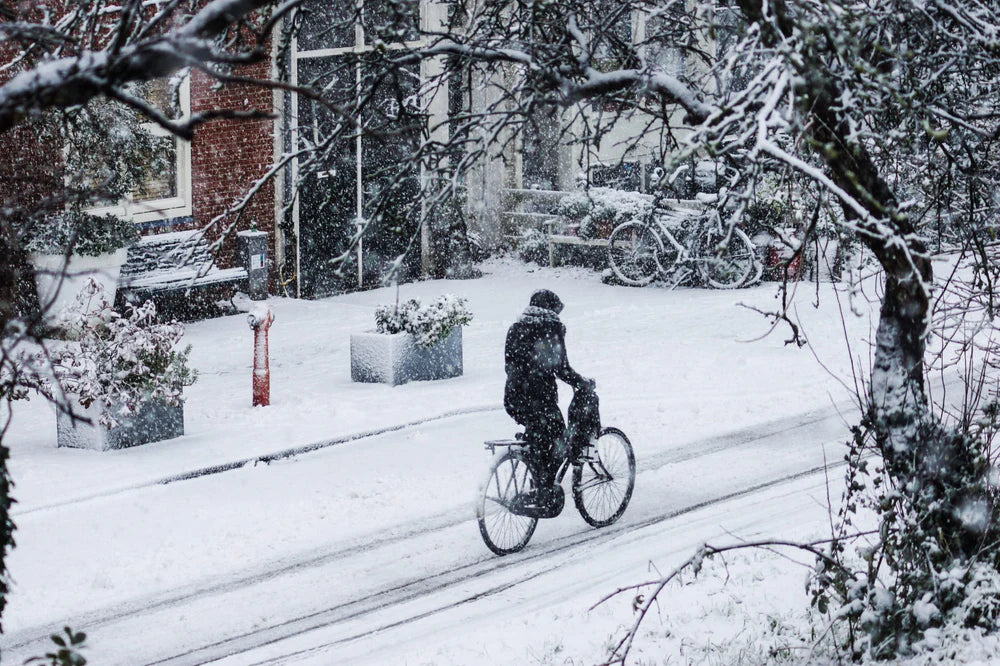 Tips on storing your EBike in Winters