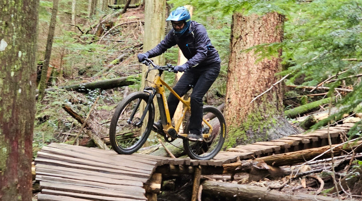 Unleash Your Inner Trailblazer -  INTRODUCING THE ENVO D50 EMTB