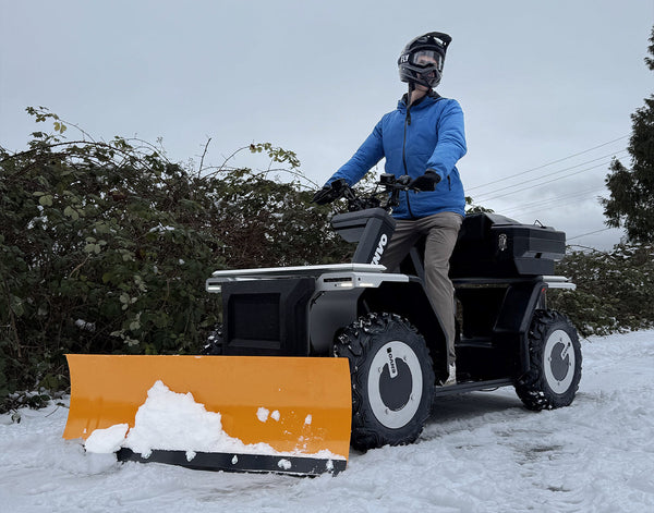 Utility and Cargo Ebikes