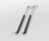 Hydraulic Hatch Pistons (Stainless Steel Pair)